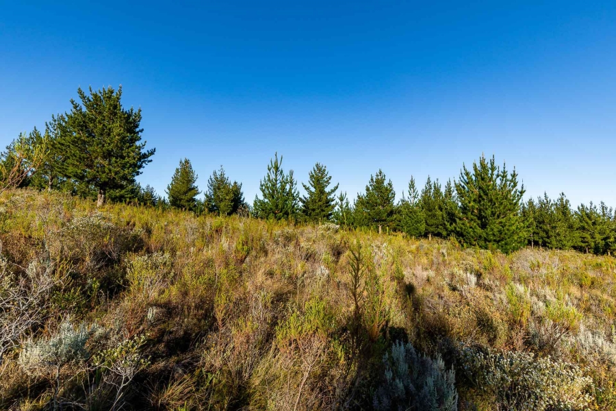 0 Bedroom Property for Sale in Heidelberg Rural Western Cape